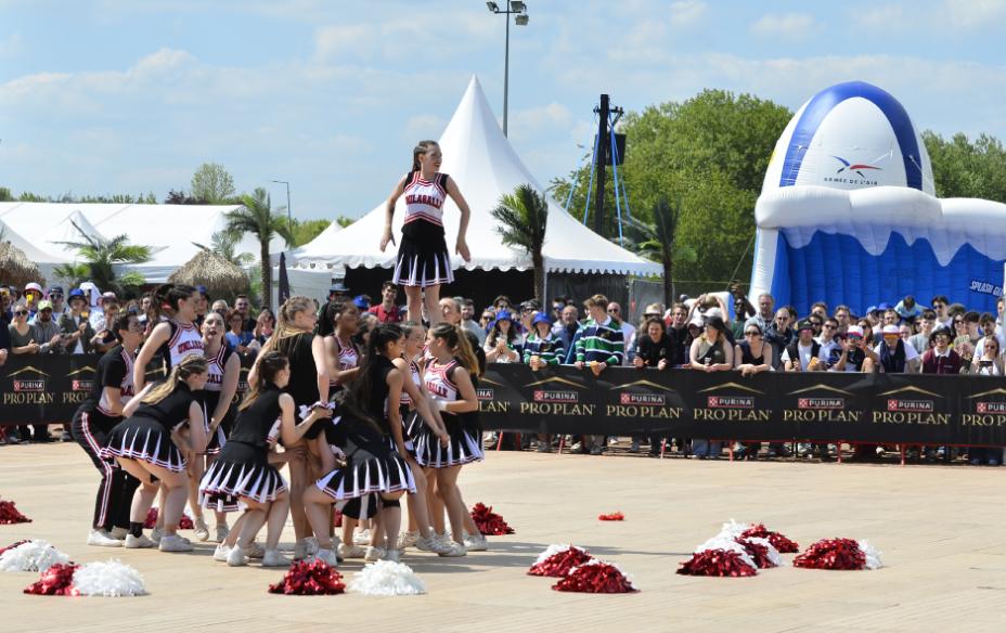 Spectacle POMPOM - Ovalies